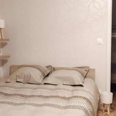 Le Cygne, Appartement De Standing En Hyper-Centre サルグミーヌ エクステリア 写真