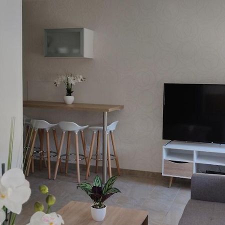 Le Cygne, Appartement De Standing En Hyper-Centre サルグミーヌ エクステリア 写真