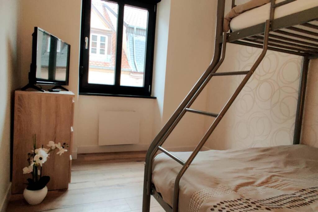 Le Cygne, Appartement De Standing En Hyper-Centre サルグミーヌ エクステリア 写真