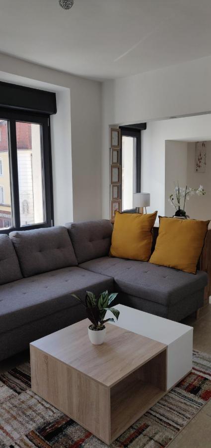 Le Cygne, Appartement De Standing En Hyper-Centre サルグミーヌ エクステリア 写真