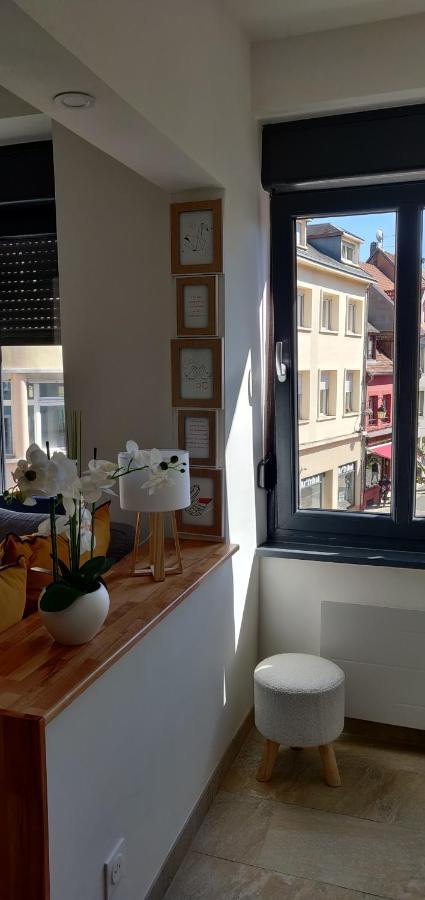 Le Cygne, Appartement De Standing En Hyper-Centre サルグミーヌ エクステリア 写真