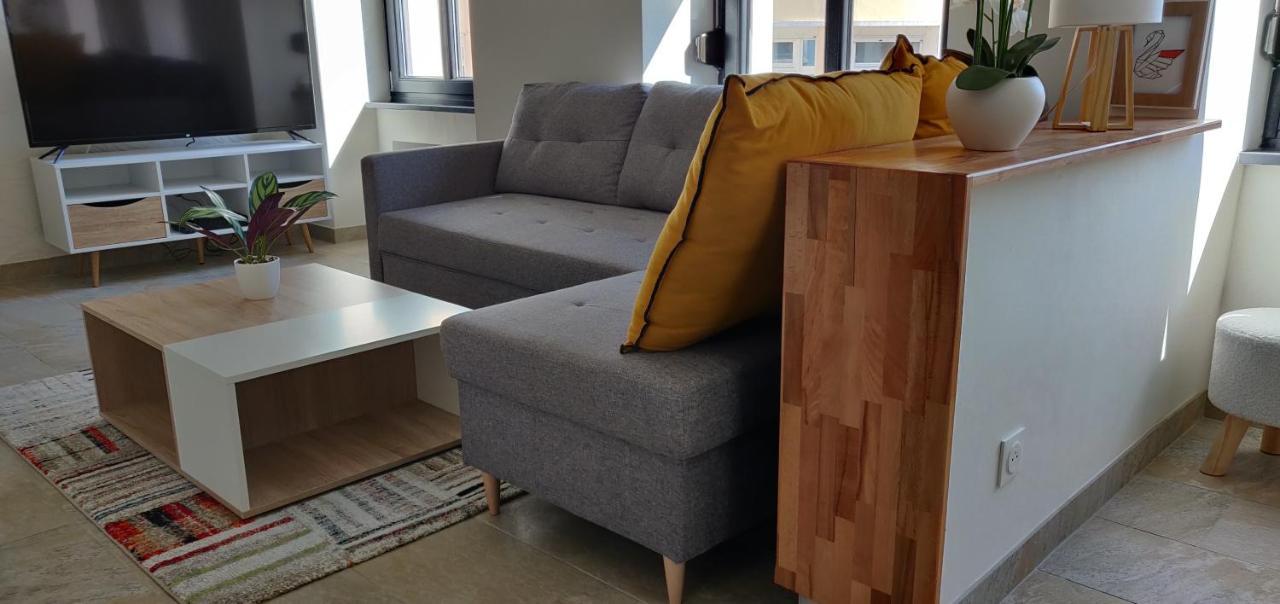Le Cygne, Appartement De Standing En Hyper-Centre サルグミーヌ エクステリア 写真