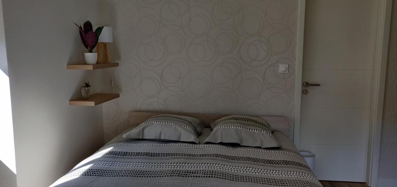 Le Cygne, Appartement De Standing En Hyper-Centre サルグミーヌ エクステリア 写真